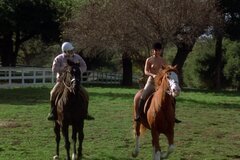 Развратная девка с голыми сиськами играет в поло