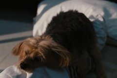 Кокетливая блондинка обзавелась любовником после вечеринки